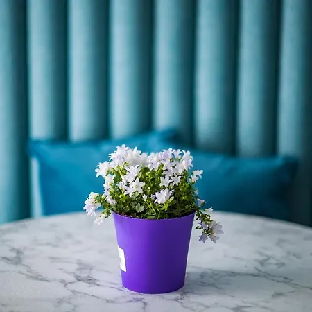 Hold - Luxury Nocleg ze śniadaniem